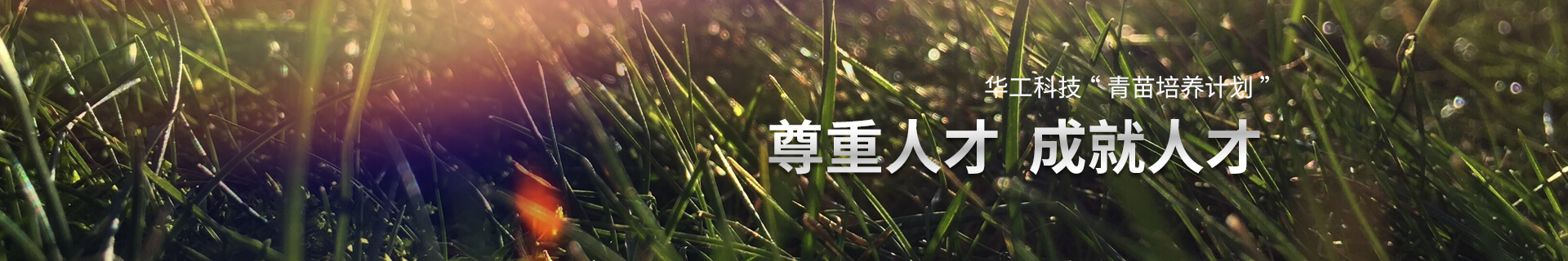 盛开的平台 优良的提升空间